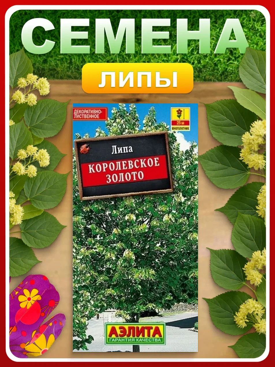 Саженцылипы