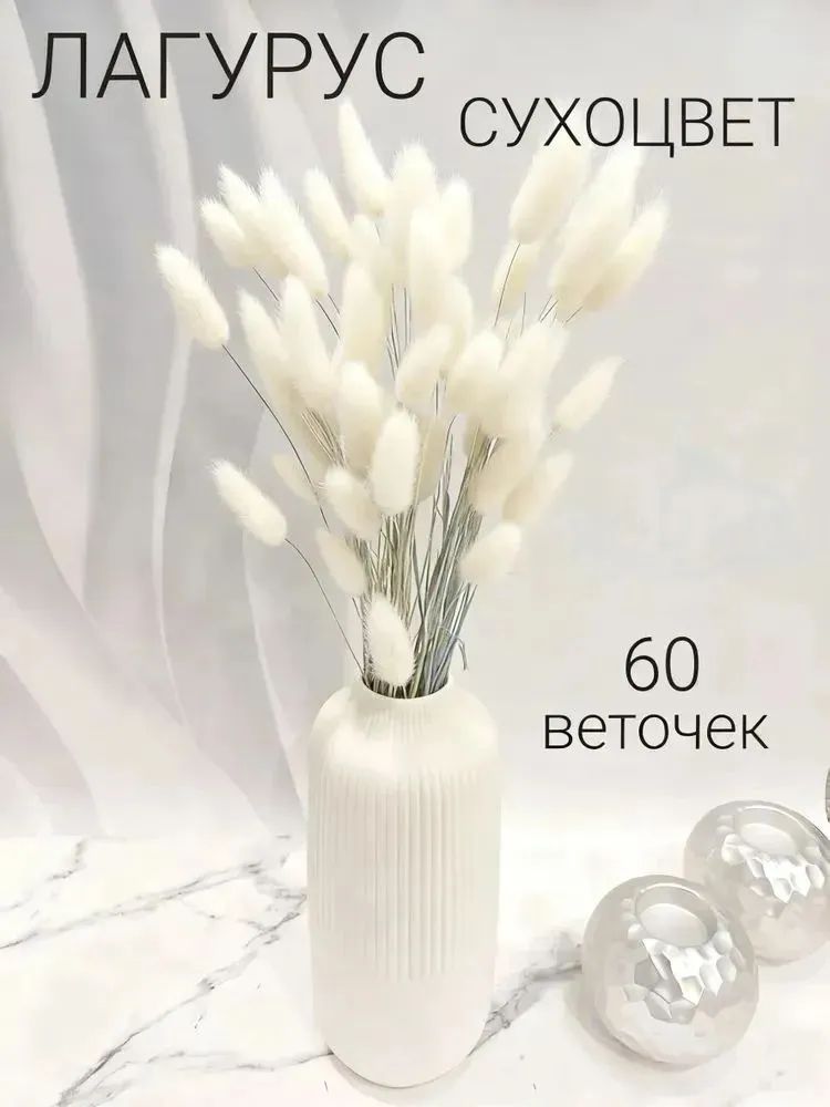 СухоцветыЛагурус,55см,100гр,60шт