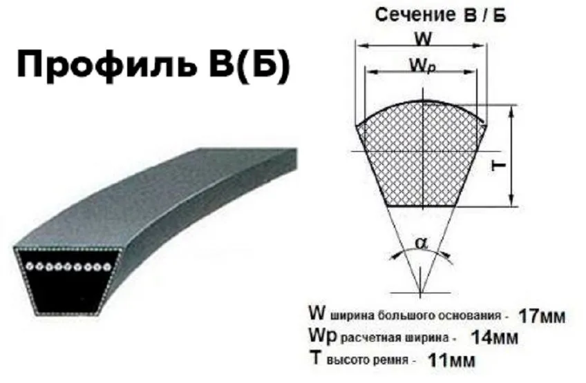 900 В(Б) ремень клиновой #1
