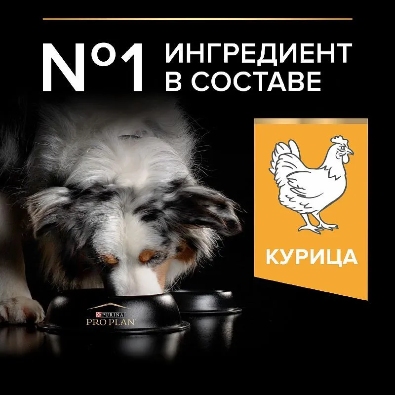 Сухой корм purina Pro Plan для собак, взрослые, средние, курица, 7 кг, фото 5