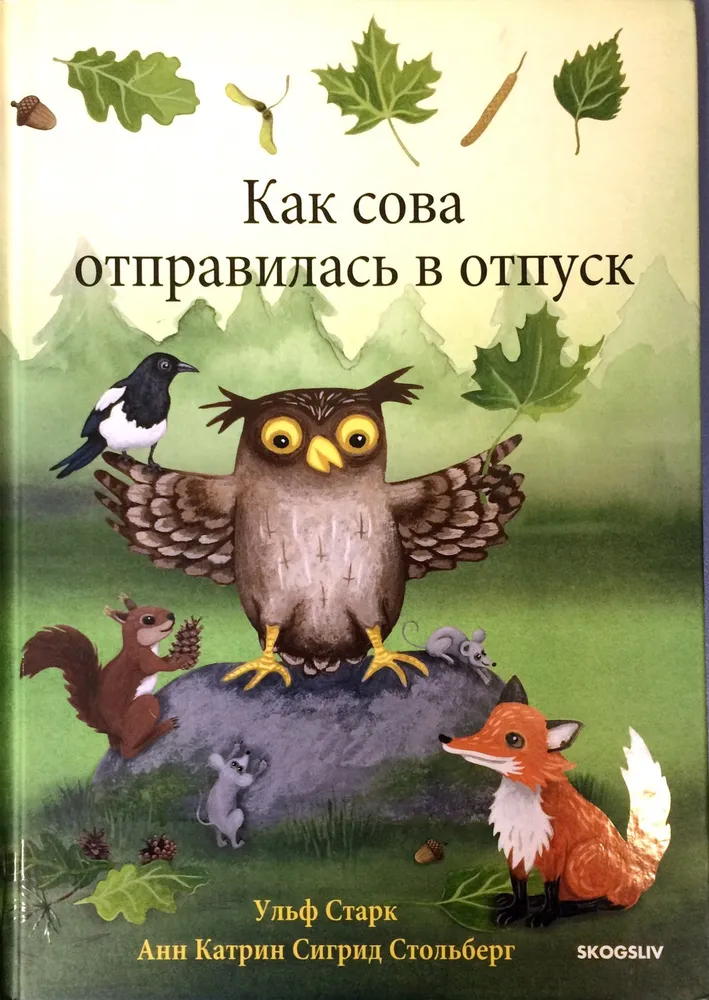 Как сова отправилась в отпуск